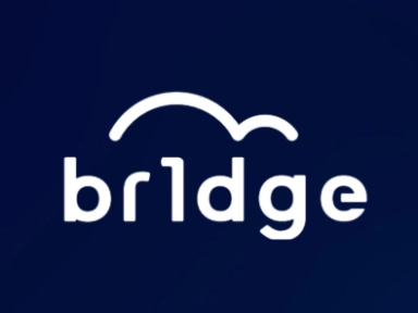 BR1DGE: Eleve o seu conhecimento em DT1 para o próximo nível