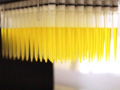 Comunicado de Imprensa | Nirsevimab protegeu significativamente as crianças contra a infeção pelo RSV no ensaio de Fase 3