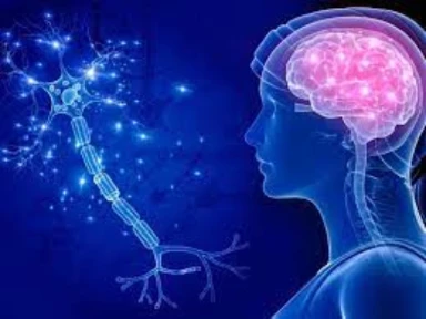 Sobre a Esclerose Múltipla