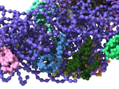 O que é a doença de Fabry?
