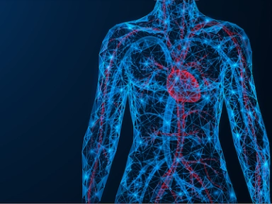 Dyslipidemia performance of 2016 2019 and 2021 ESC Dyslipidemia guidelines