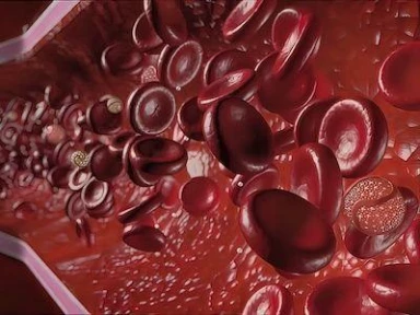 Public health recommendations for Lp(a) measurement