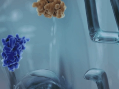 Prurigo Nodularis is a distinct, Chronic, Neural and Immune- Mediated skin disease characterized by intense itch and Nodular Lesions¹