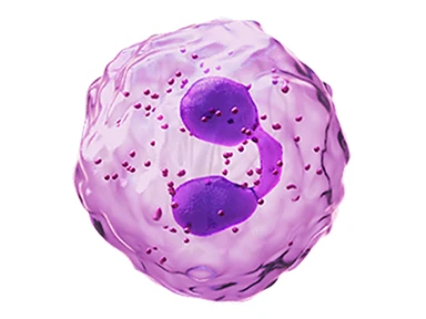 Får du hela bilden?