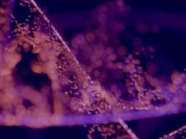 Sanofi symposium at NLC 2024