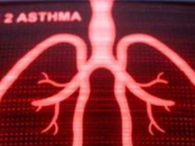 IL-4 and IL-13: the key and central drivers of type 2 inflammation<sup>1-2,6-7</sup>