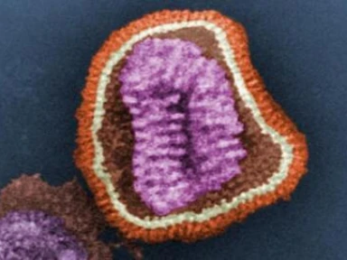 Kimler Risk Altındadır?