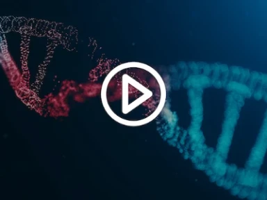 Cerezyme 8 Yıllık Hematolojik Etkililik