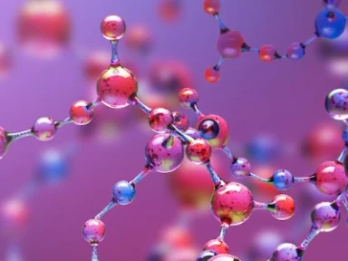 MACARİSTAN UYUM ÇALIŞMASI