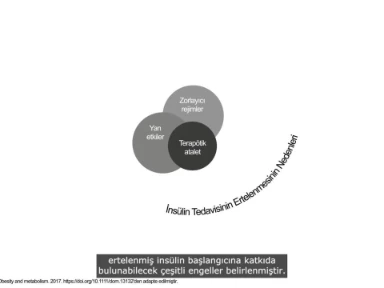 Zamanında İnsülinizayon Neden Önemli?
