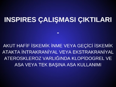 INSPIRES Çalışması
