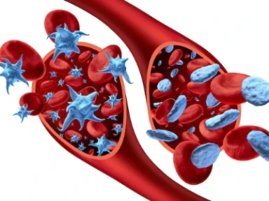 Delix ailesinin kan basıncında düşüş sağlayacak yeni üyesi