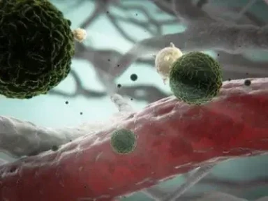 Aşılanmak Neden Önemlidir?