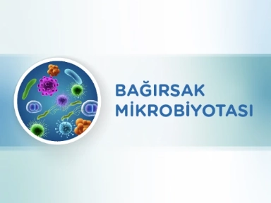 Bağırsak Mikrobiyotası