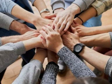 Soliqua Tamamlayıcı Etki Mekanizması