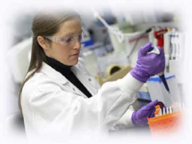 Meningokok Yolculuğu