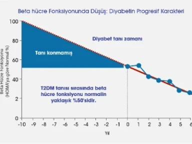 Beta Hücre Fonksiyonu