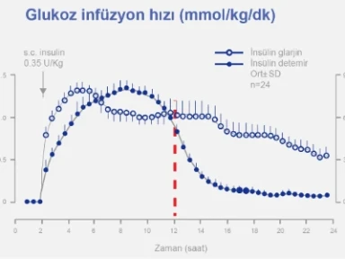 Lantus Porcellatti Çalışması