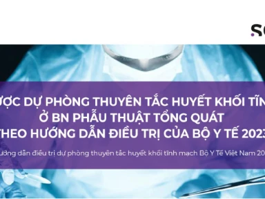 Chiến Lược Dự Phòng Thuyên Tắc Huyết Khối Tĩnh Mạch Ở Bệnh Nhân Phẫu Thuật Tổng Quát Theo Hướng Dẫn Điều Trị Của Bộ Y Tế 2023