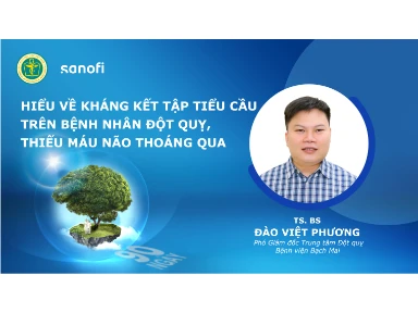 Hiểu Về Kháng Kết Tập Tiểu Cầu Trên Bệnh Nhân Đột Quỵ, Thiếu Máu Não Thoáng Qua