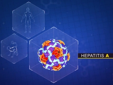 Digital Training Module 1: Disease