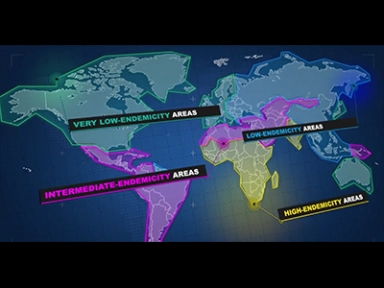 Digital Training Module 3: Travel risks & prevention