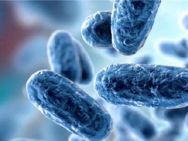 Pertussis and Diphtheria in South Africa: Disease Overview and Current Epidemiology