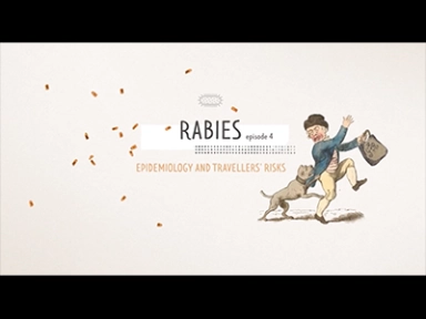 Rabies epidemiology and travellers’ risks