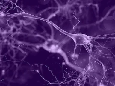 PATIENT CARD FOR VALPROATE: CONTRACEPTION AND PREGNANCY