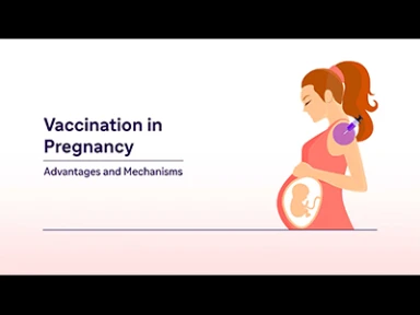 Update Basic Vaccinology + Catch-up Calculator Launch Webinar