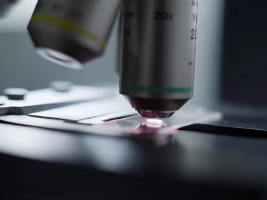 Expression Article 5