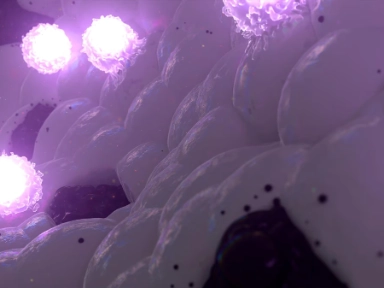 Expression Article Video 2