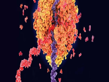 Expression Article 1