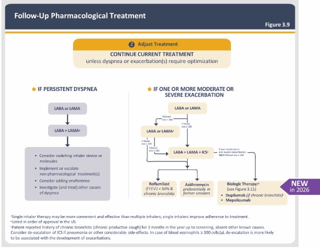 GOLD 2026 Report: Key Updates for COPD Management