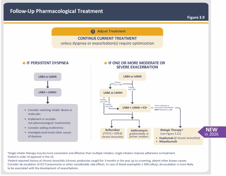 GOLD 2026 Report: Key Updates for COPD Management