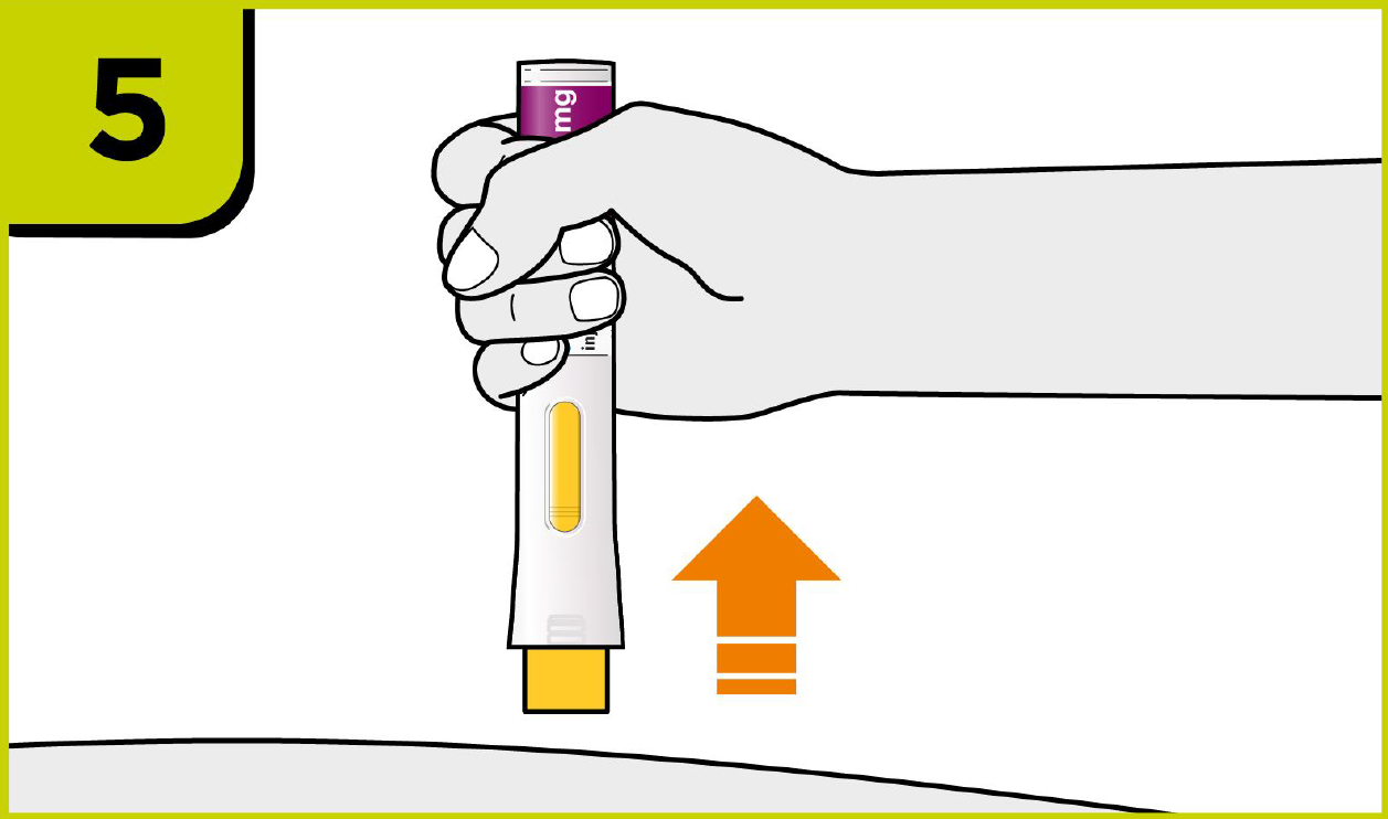 step5