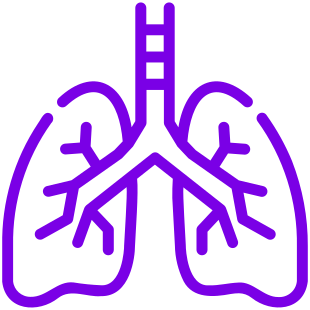 Lungs