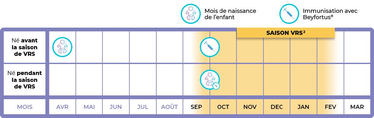 vaccination-calender