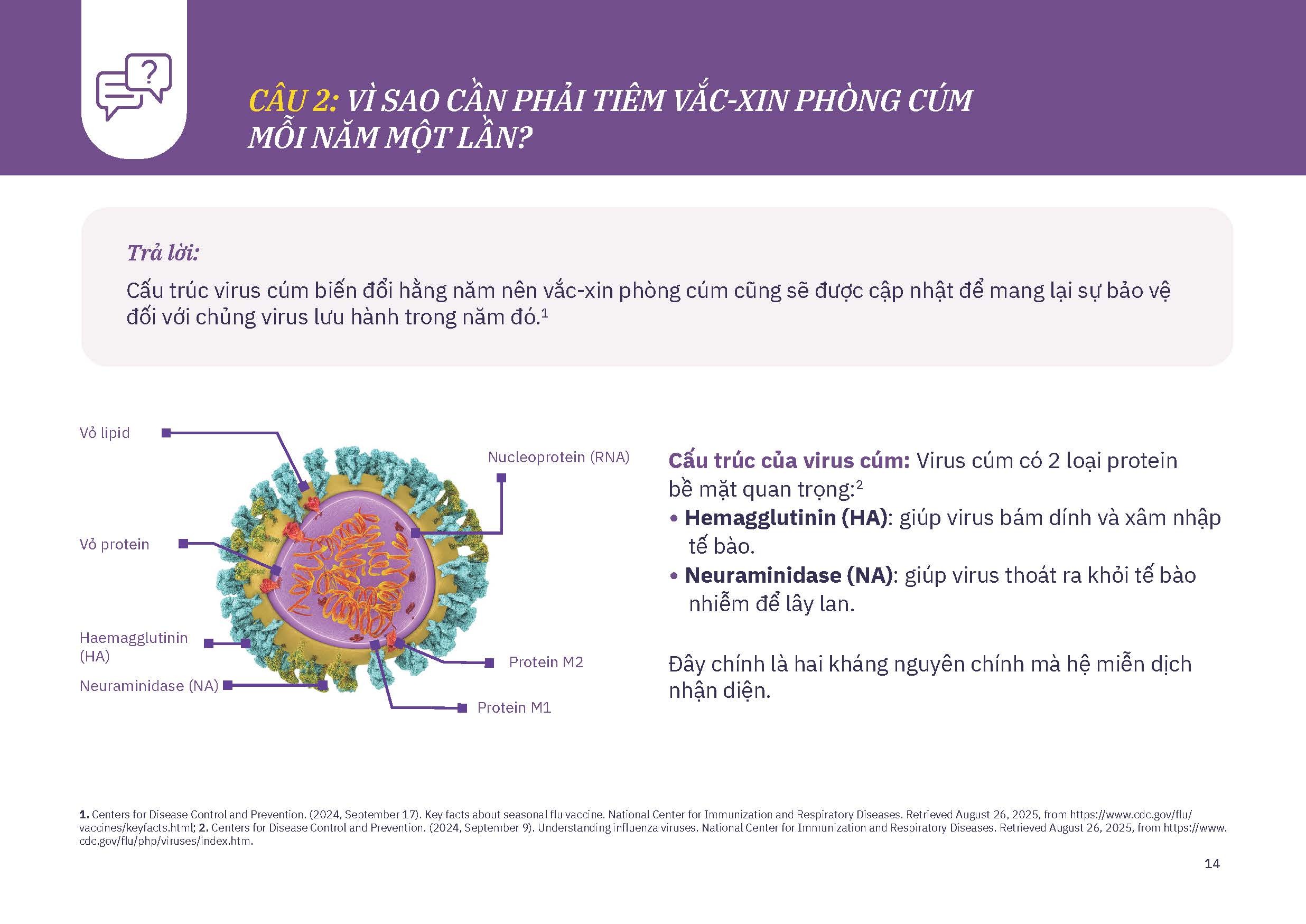flu-qa-booklet-flu-visao-can-phai