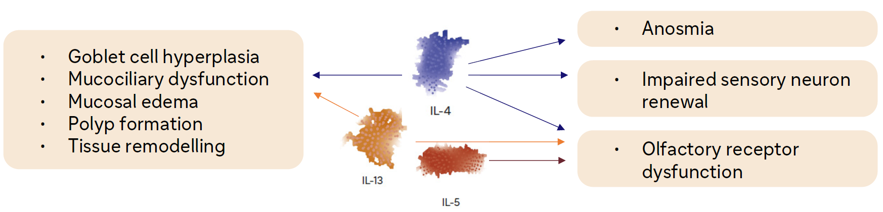 role-of-cytokines