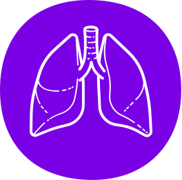 lungs