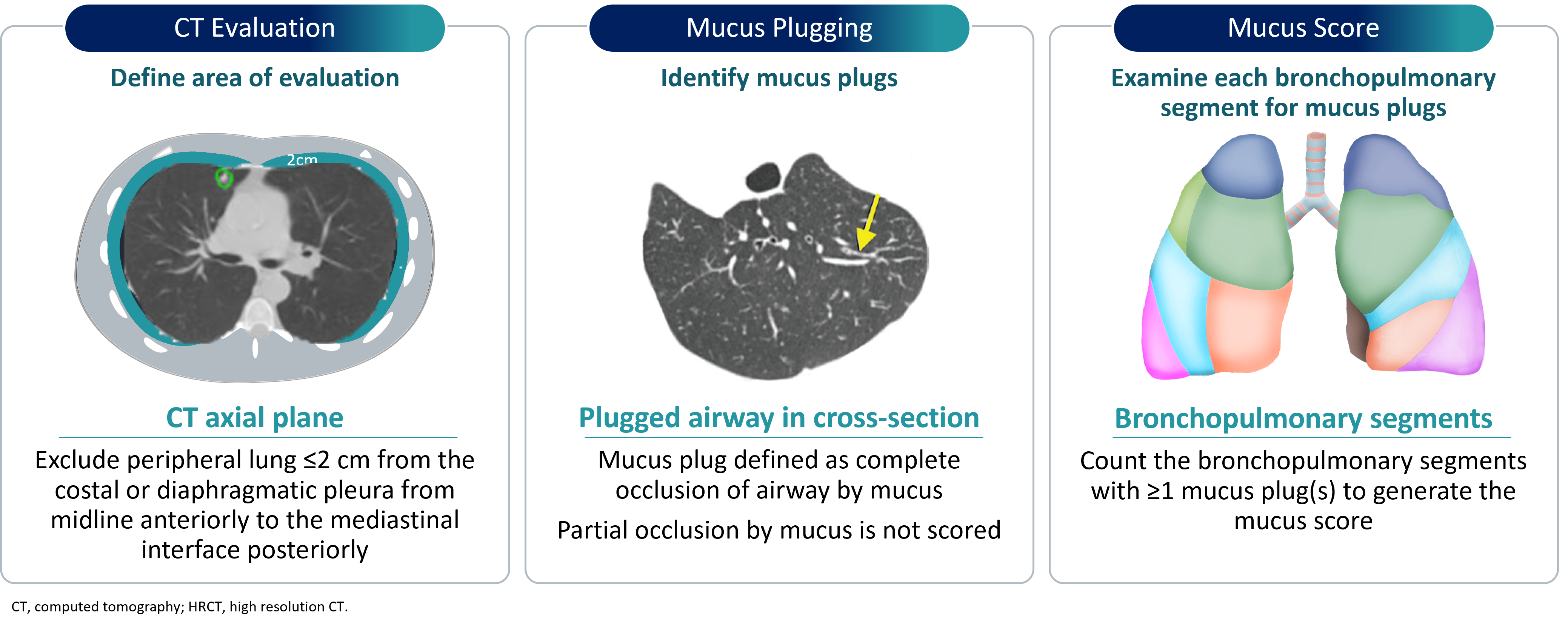 Mucus plugs identification with HRCT