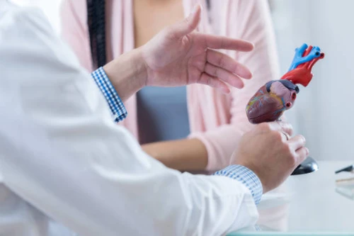 Ein Mediziner im weißen Kittel erklärt einem aufmerksamen Patienten ein anatomisches Herzmodell in einer medizinischen Umgebung.
