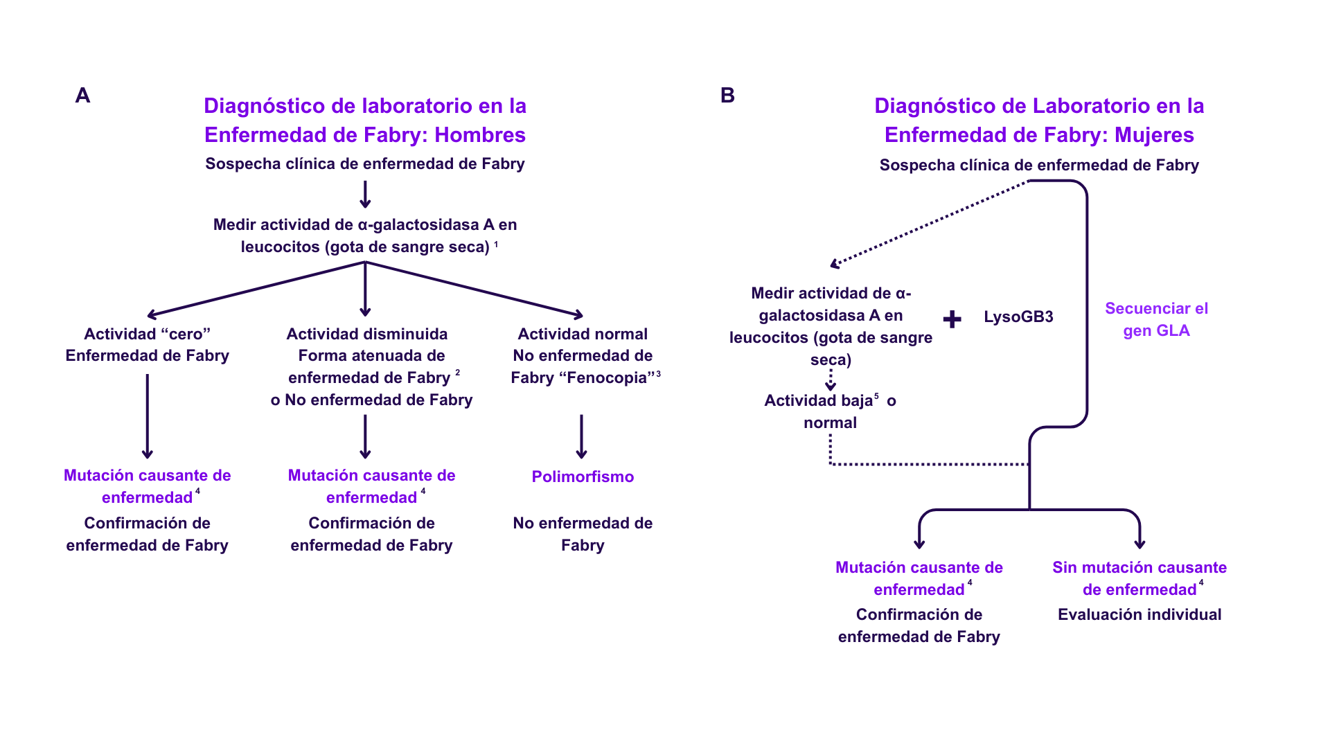 Flujo de acción para el diagnóstico de laboratorio de la Enfermedad de Fabry