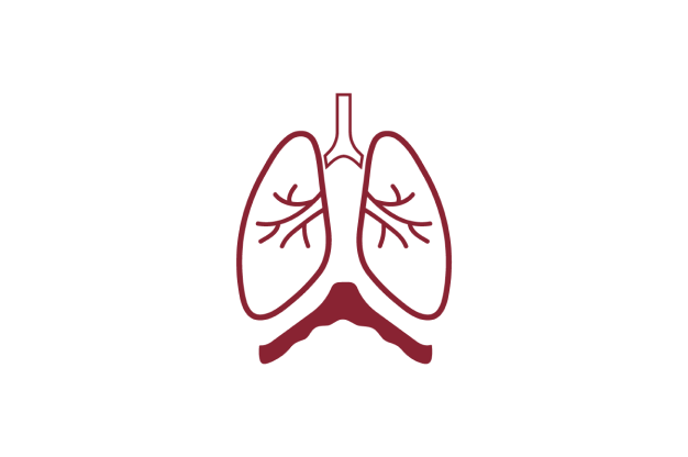 Icon of a pair of lungs.