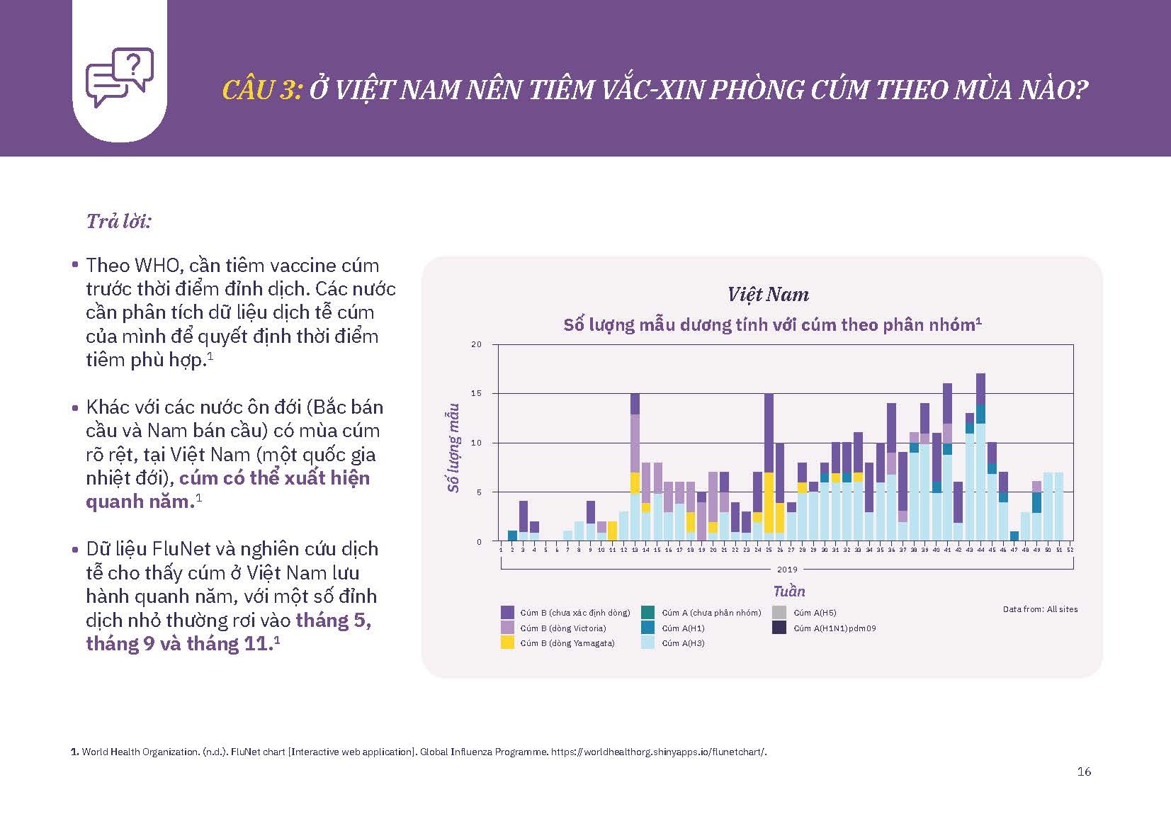 flu-qa-booklet-flu-visao-tiem-cum