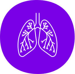 lungs1