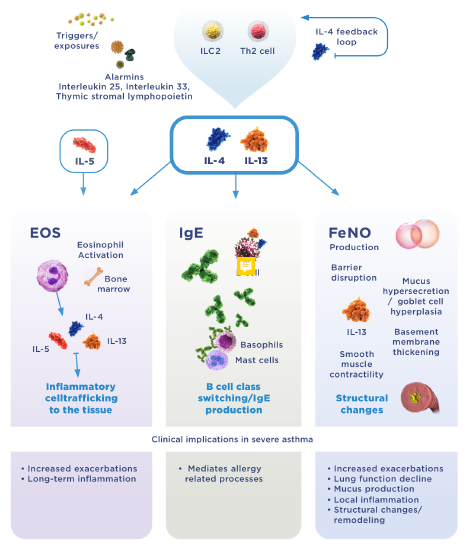 Epithelium activation*1