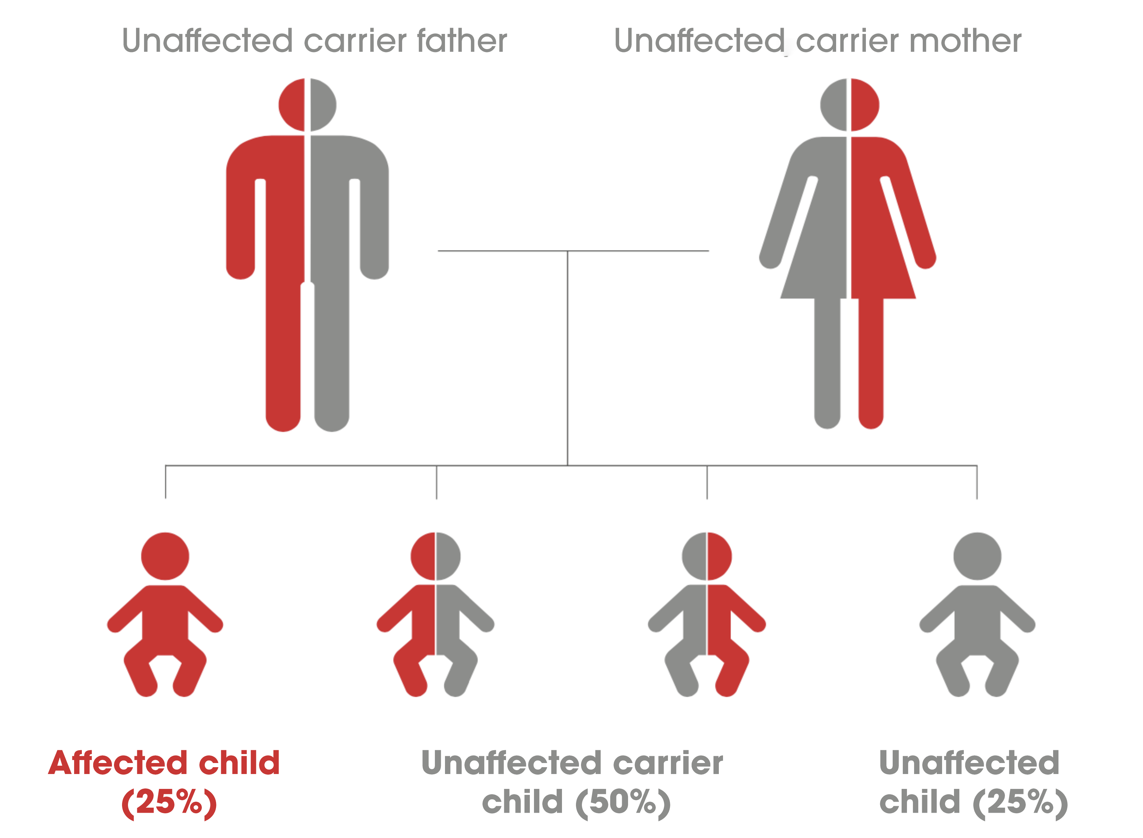 gaucher-disease-transmission