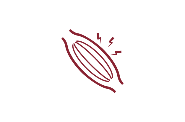 Icon of a muscle with pain lines.